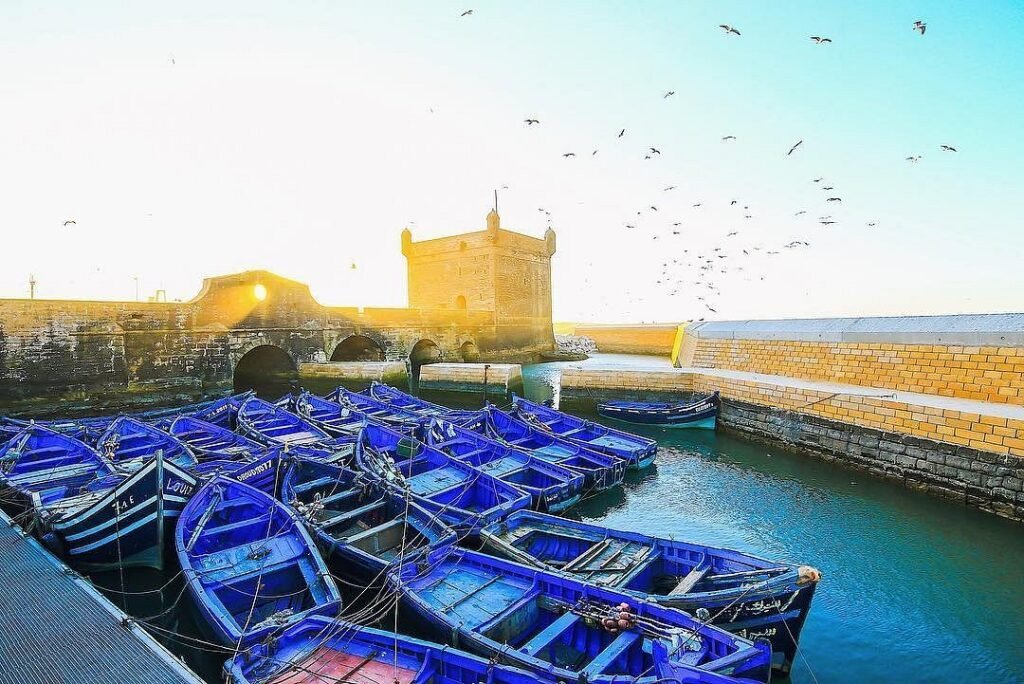 Essaouira Day Trip from Marrakech