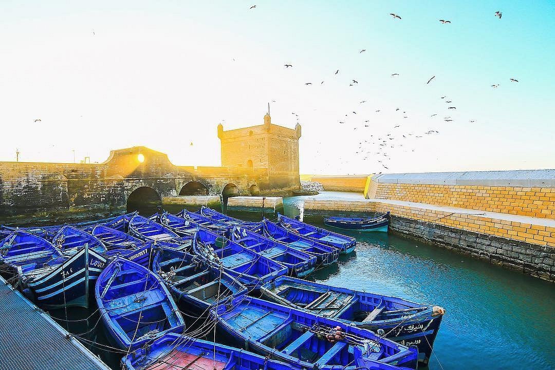 Essaouira Day Trip from Marrakech